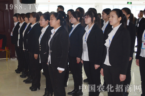 火爆的成功離不開團(tuán)隊