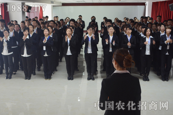 團結一心的火爆大家庭