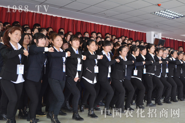 那些年 團(tuán)隊(duì)教給我的